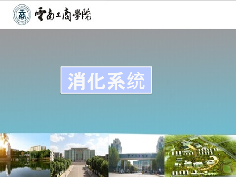 人体结构与功能消化系统.ppt_第1页