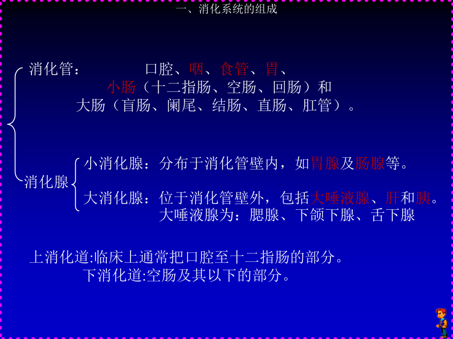 人体结构与功能消化系统.ppt_第2页
