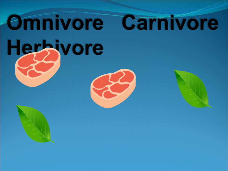 恐龙种类中英文对照dinosaur-flashcards.ppt_第1页