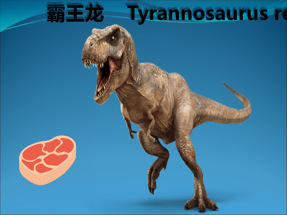 恐龙种类中英文对照dinosaur-flashcards.ppt_第2页