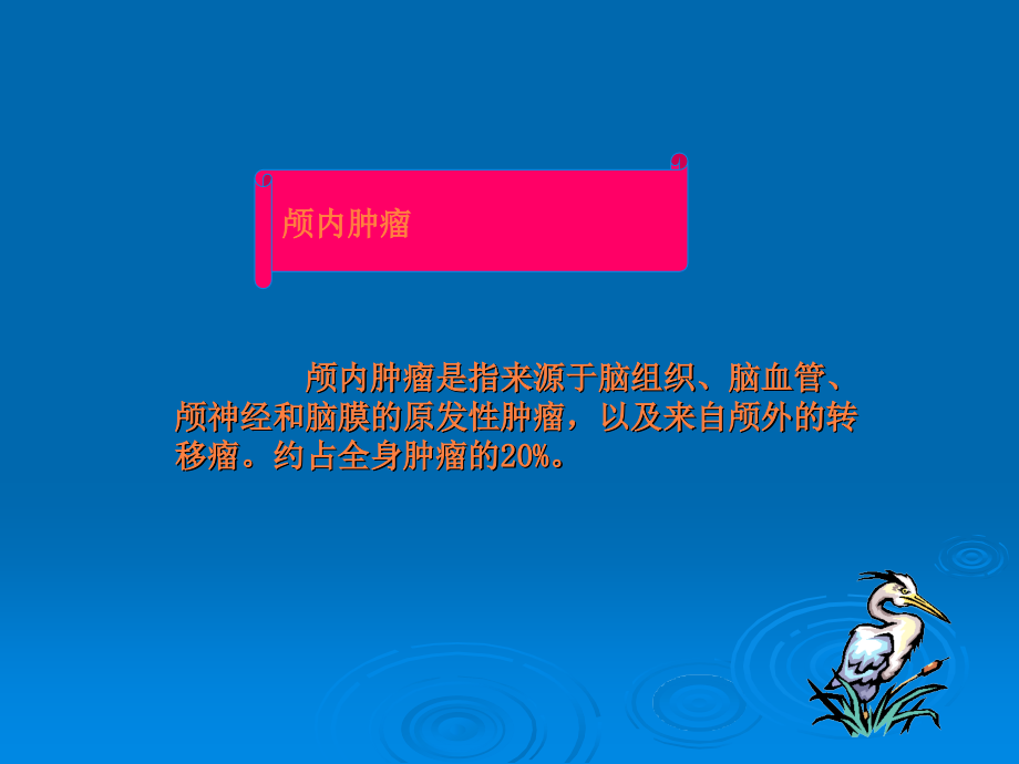 颅内与椎管内疾病.ppt_第2页