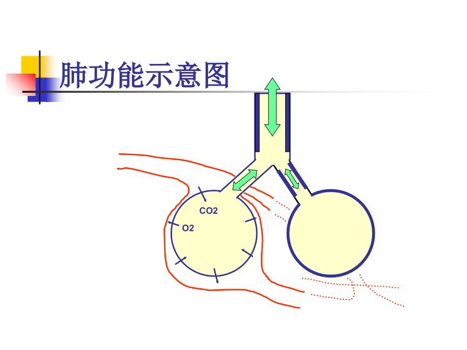 肺功能支气管激发试验.ppt_第2页