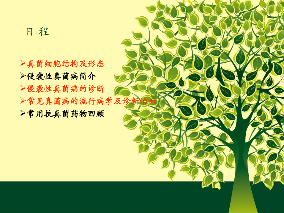 住院医真菌讲课.ppt_第2页