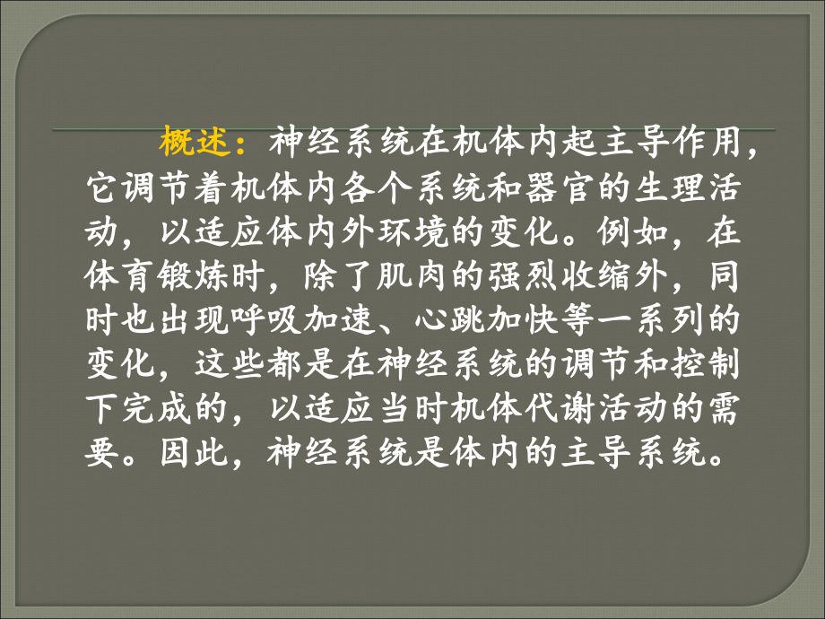 神经系统解剖学课件.ppt_第2页