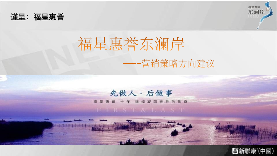 新联康武汉福星惠誉东澜岸大盘项目营销策略建议p营销推广方案x.ppt_第1页
