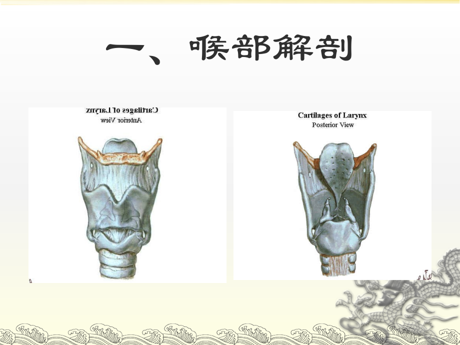 实用气管插管术.ppt_第1页