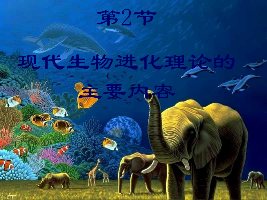 现代生物进化理论的主要内容(上课).ppt_第1页