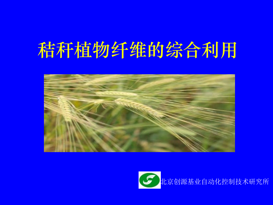 秸秆植物纤维的综合利用.ppt_第1页