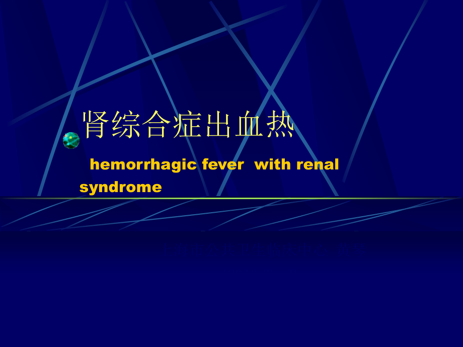 肾综合症出血热-(3).ppt_第1页