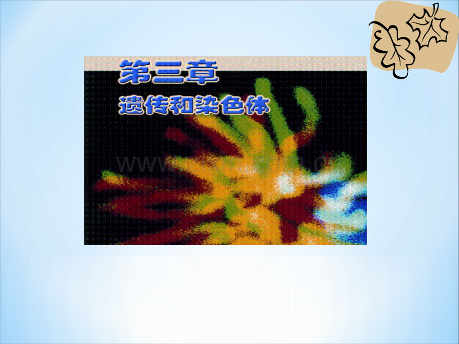 染色体变异及其应用.ppt_第1页