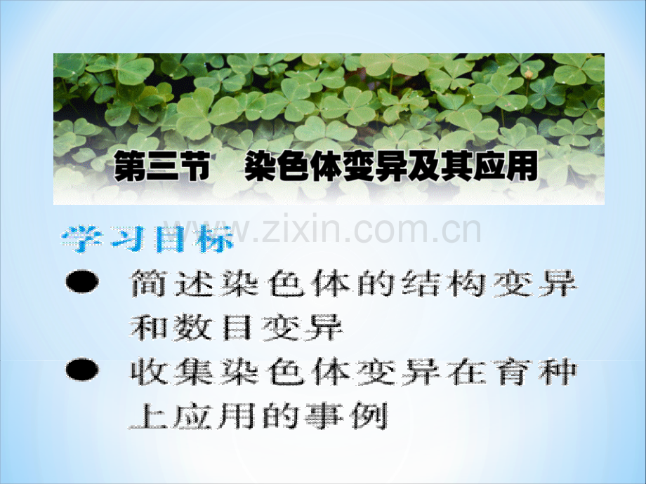 染色体变异及其应用.ppt_第2页