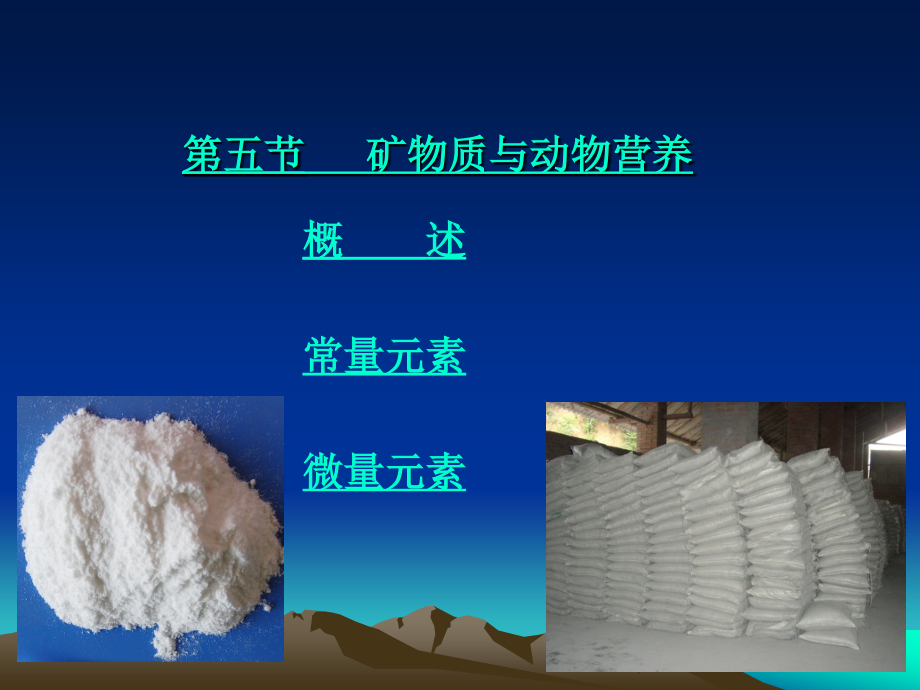 矿物质与动物营养.ppt_第1页