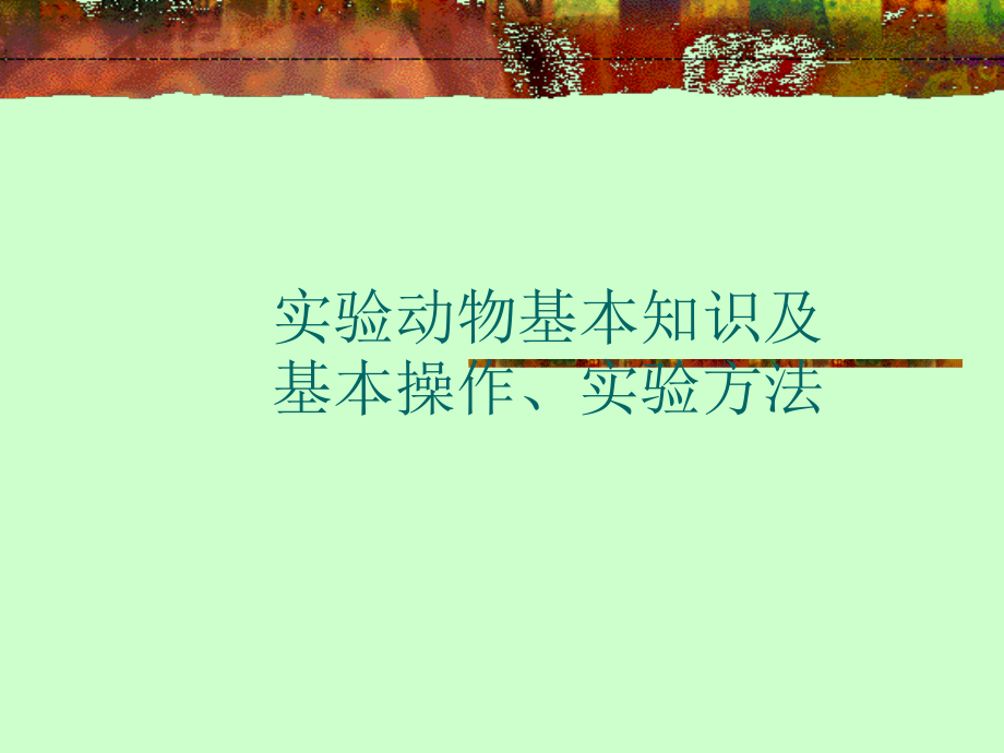 实验动物基本知识及基本操作.ppt_第1页