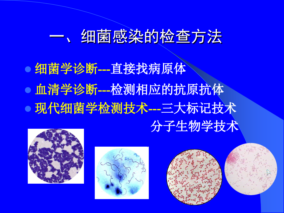 细菌检查.ppt_第2页