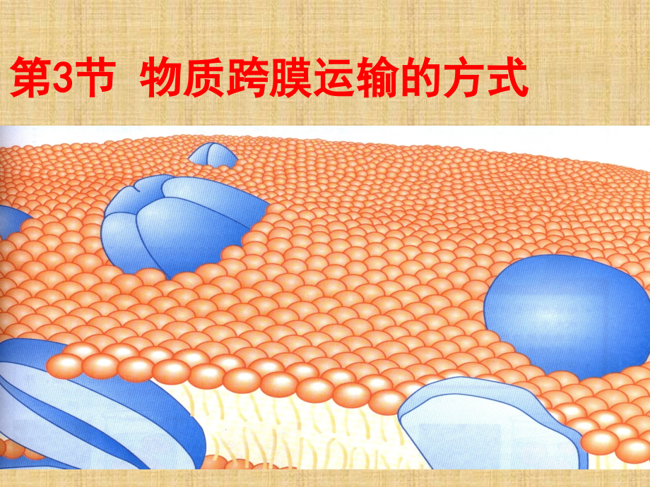 物质跨膜运输的方式课件公开课.ppt_第1页