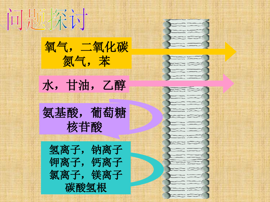 物质跨膜运输的方式课件公开课.ppt_第2页