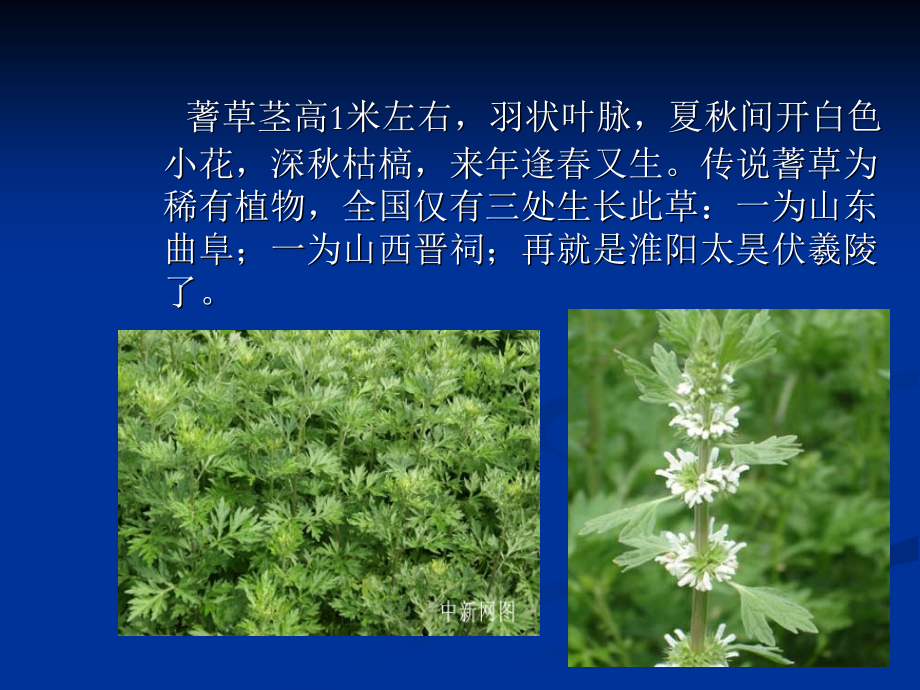 周易讲解及解卦.ppt_第2页