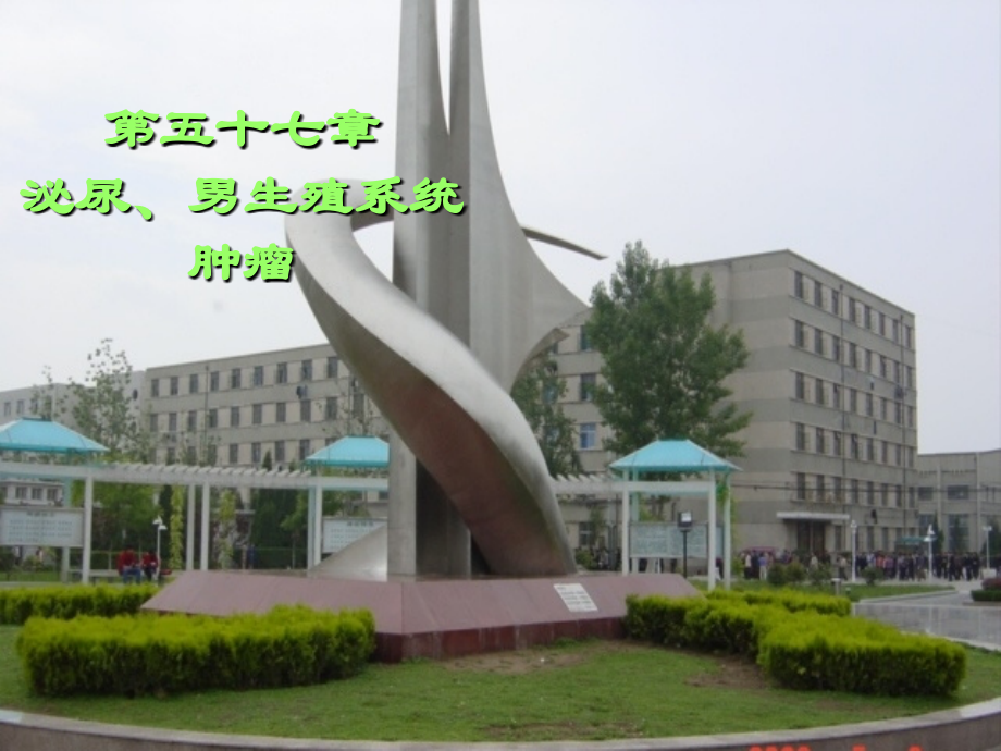 肾肿瘤规范.ppt_第1页