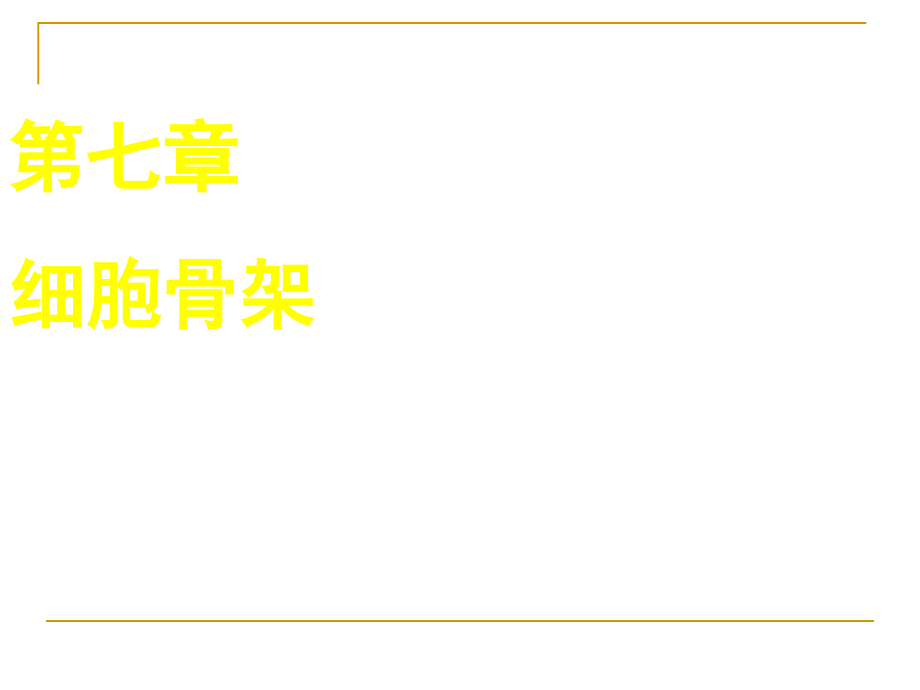 细胞骨架细胞生物学.ppt_第1页