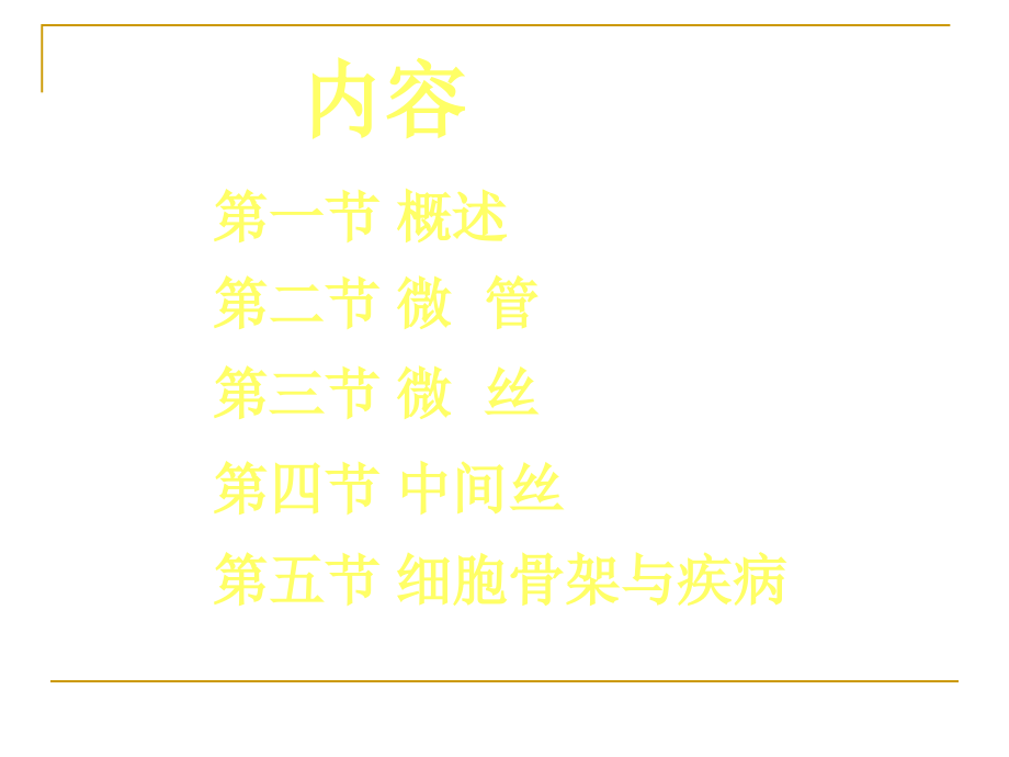 细胞骨架细胞生物学.ppt_第2页