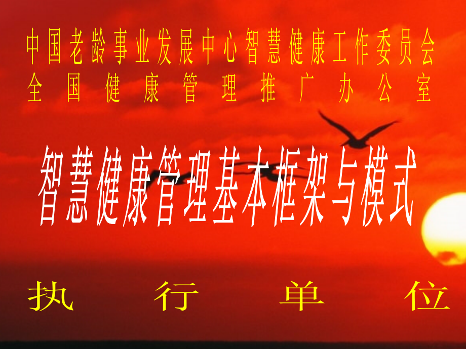 健康管理基本框架与模式.ppt_第1页