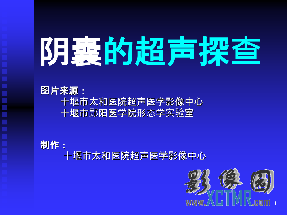 阴囊的超声探查.ppt_第1页