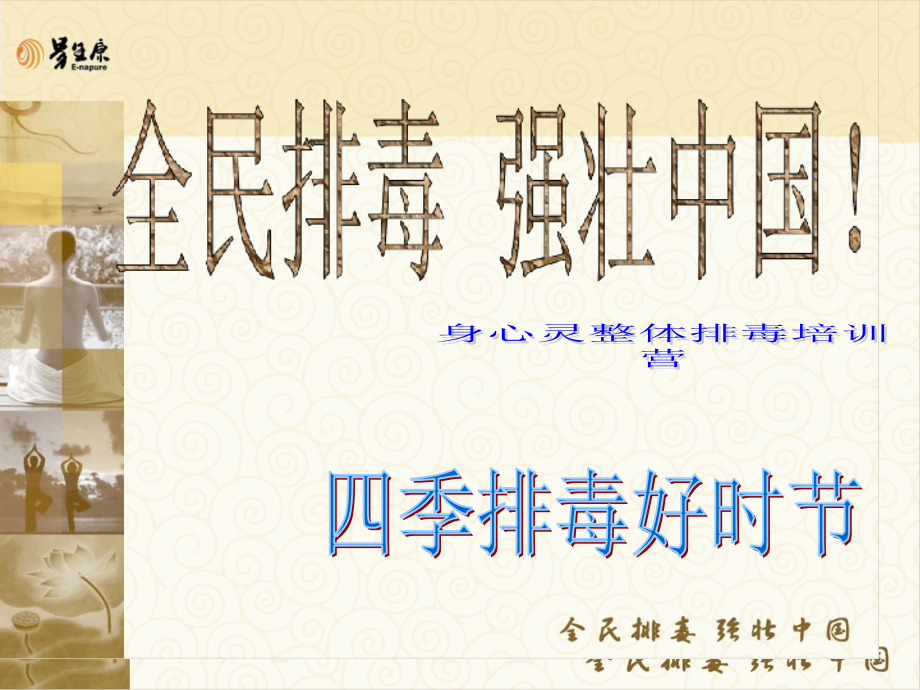四季排毒的好处.pptx_第1页