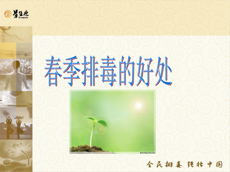 四季排毒的好处.pptx_第2页