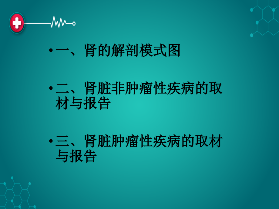 肾切除标本的取材与报告.ppt_第2页