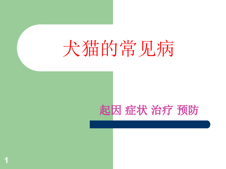 浅谈犬猫的常见病.ppt_第1页