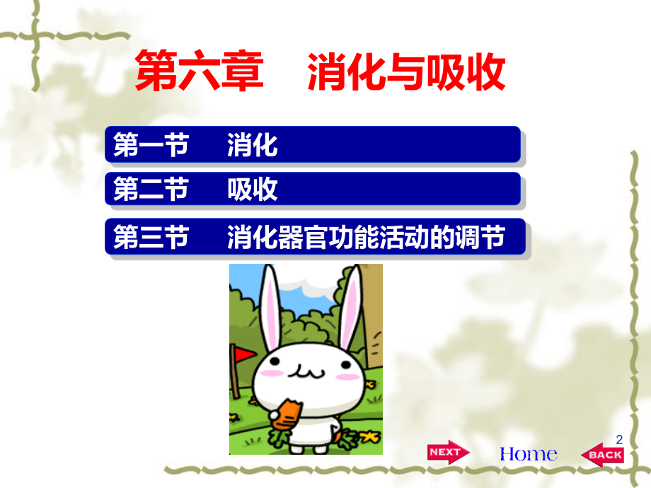 生理学-六-消化和吸收.ppt_第2页