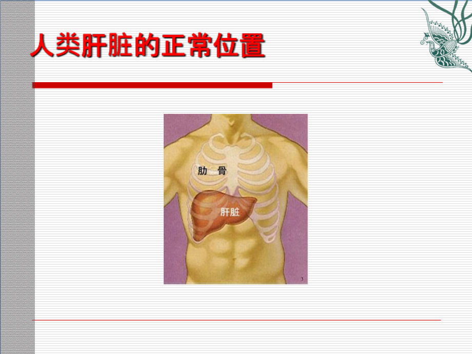 脂肪肝健康教育资料全.ppt_第2页