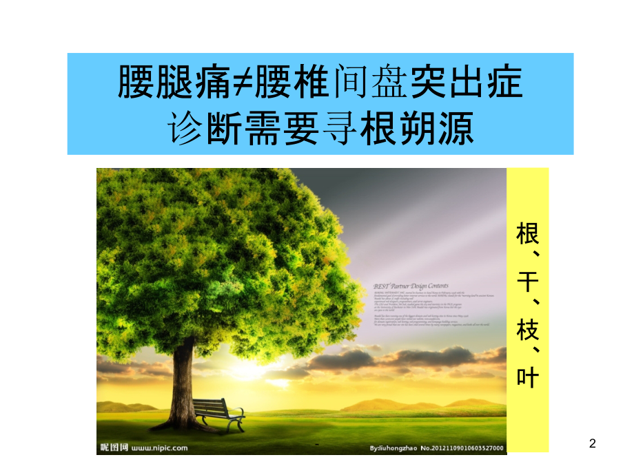 腰椎间盘突出症鉴别诊断.ppt_第2页
