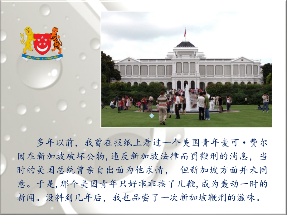 新加坡鞭刑亲历记.ppt_第2页
