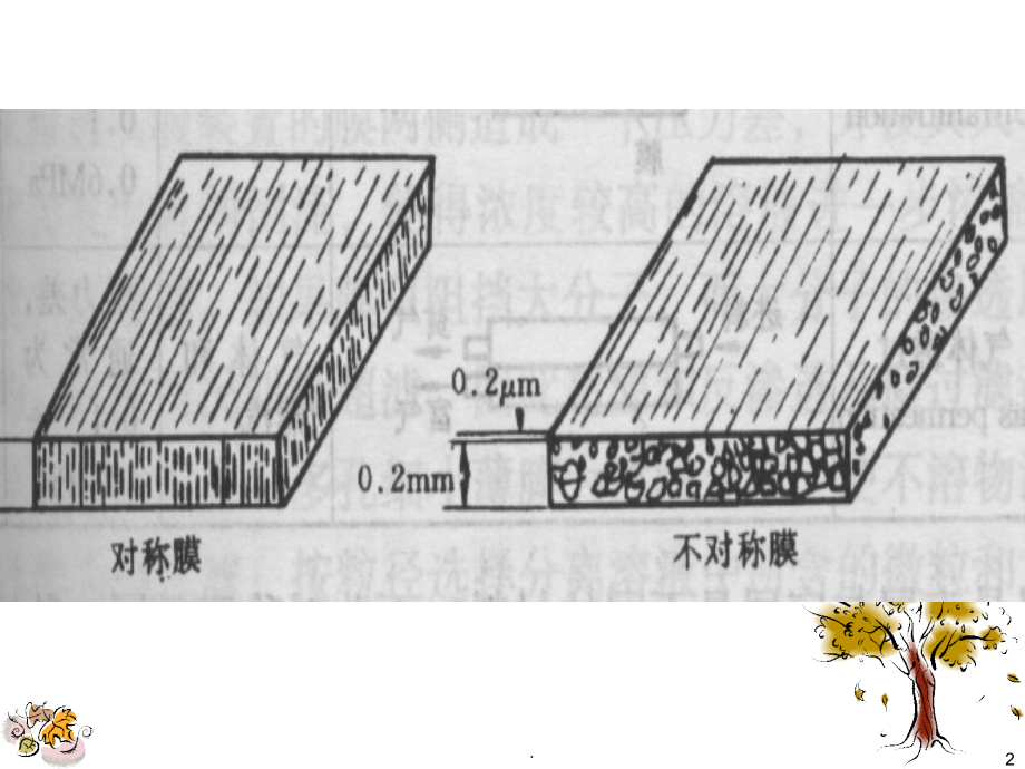 膜的分离过程.ppt_第2页