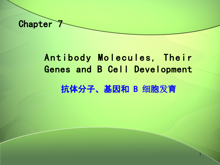 抗体、基因重排及B细胞发育.ppt_第1页