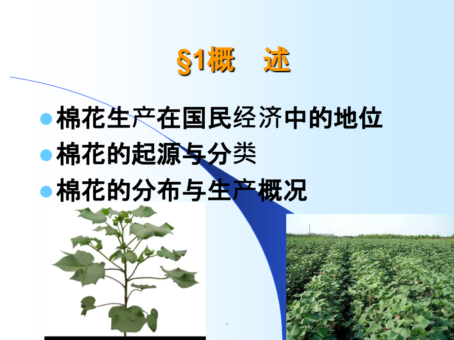 农作物生产技术(棉花).ppt_第2页
