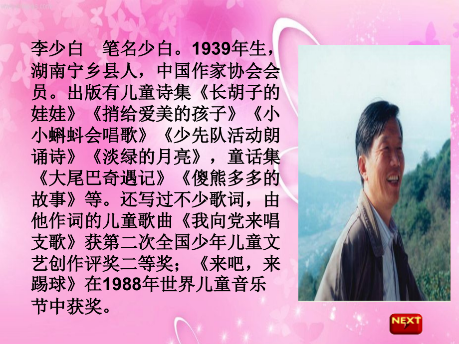 中华少年PPT课件.ppt_第2页