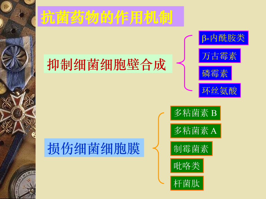 第5章-抗菌药物作用机制和细菌耐药性(武汉大学研究生课件)幻灯片课件.ppt_第2页