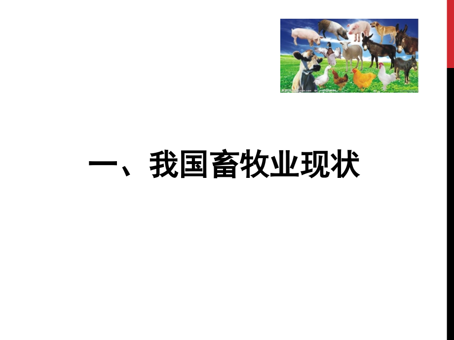 我国畜牧业现状、存在的主要问题和解决的对策说课讲解.ppt_第2页