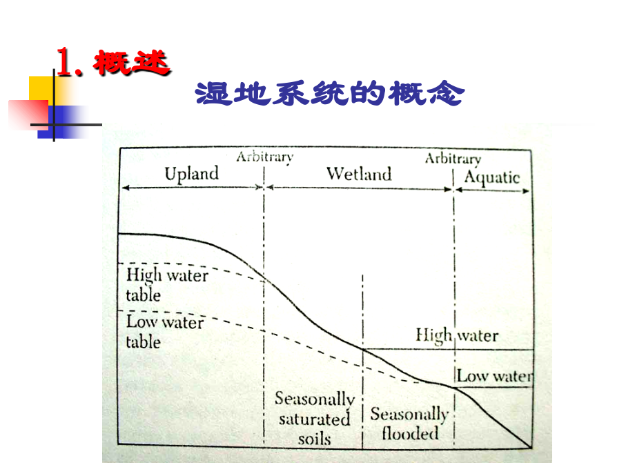 人工湿地处理系统电子教案.ppt_第2页
