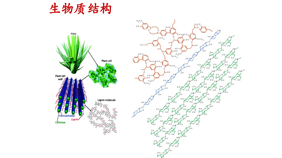 生物质转化工程-第六周培训资料.ppt_第2页