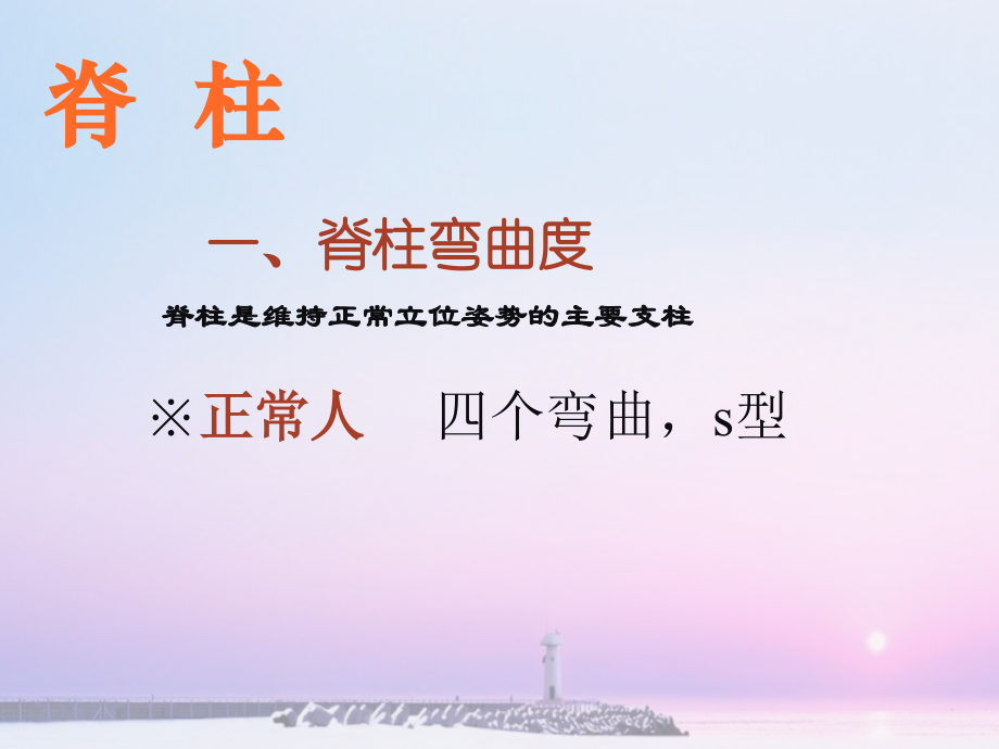 脊柱及四肢体格检查word版本.ppt_第2页