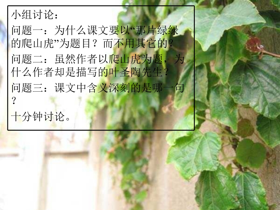 26《那片绿绿的爬山虎》课件资料讲解.ppt_第2页