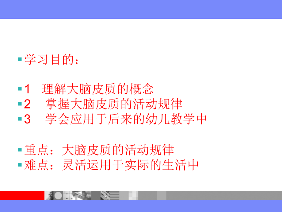 大脑皮质的活动规律.ppt_第2页