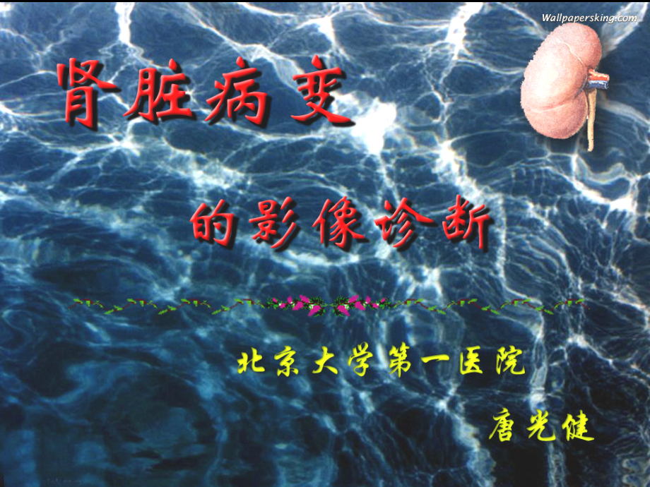 肾脏病变影像诊断71188上课讲义.ppt_第1页