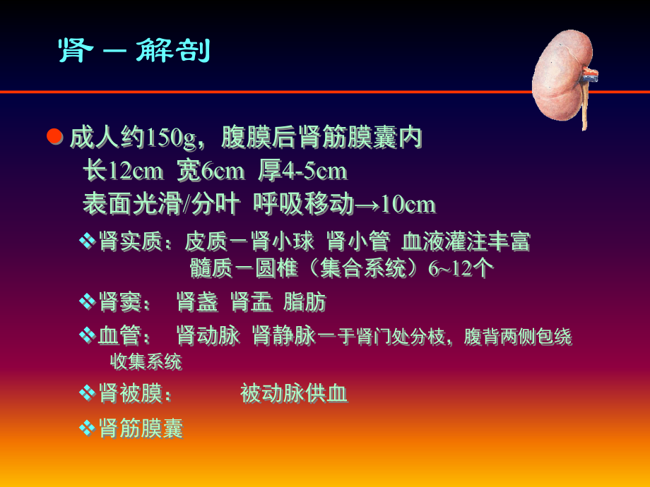 肾脏病变影像诊断71188上课讲义.ppt_第2页