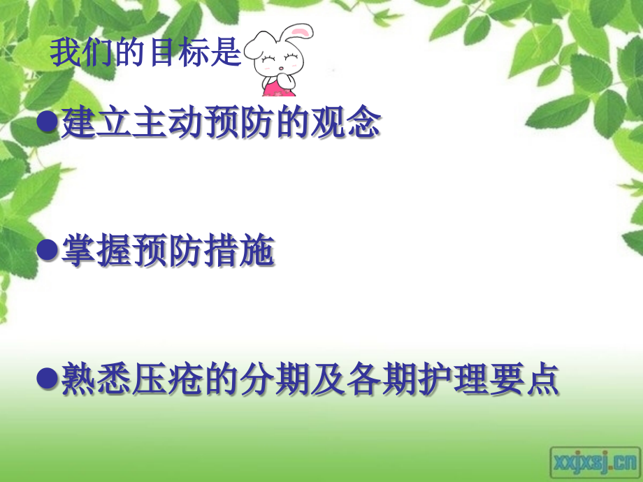 压疮的评估及护理上课讲义.ppt_第2页