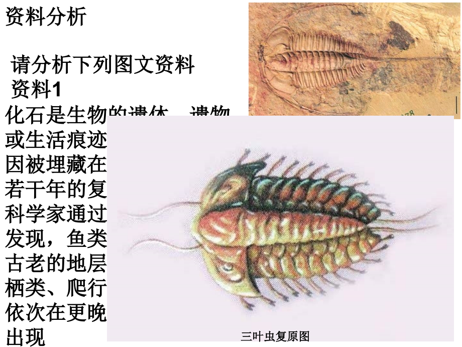 生物进化的历程教学提纲.ppt_第2页