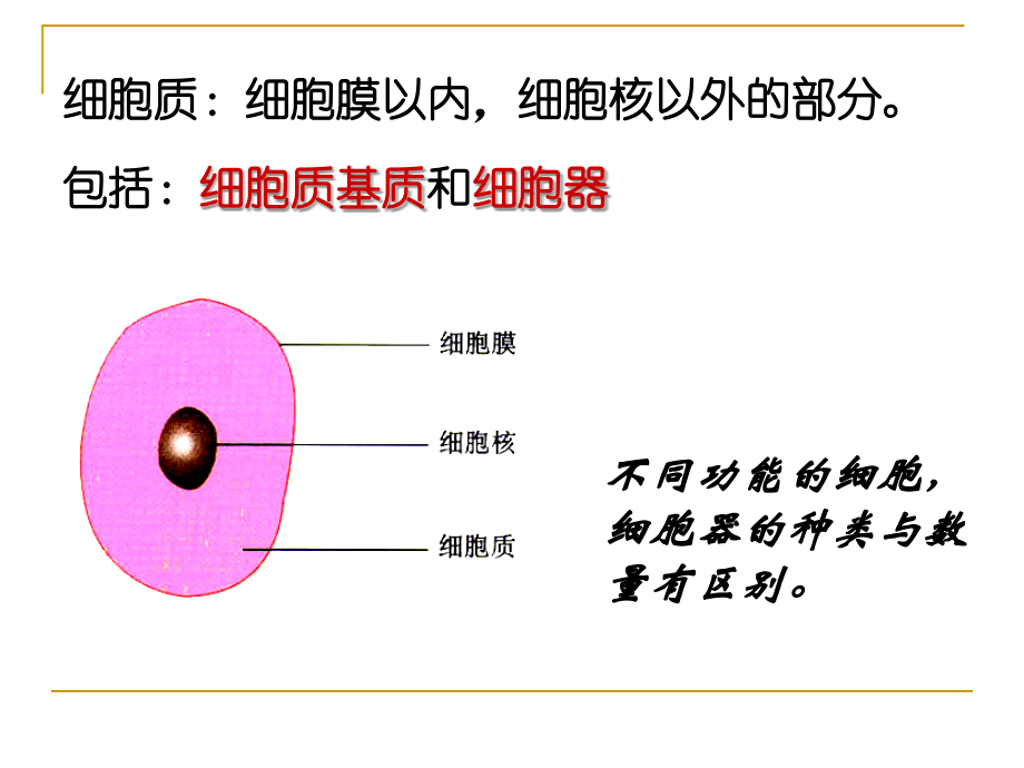 高中生物必修1细胞器公开课知识分享.ppt_第2页